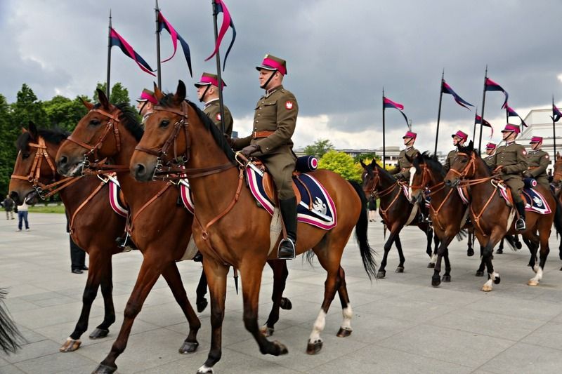 Varsovie D fil Cheval